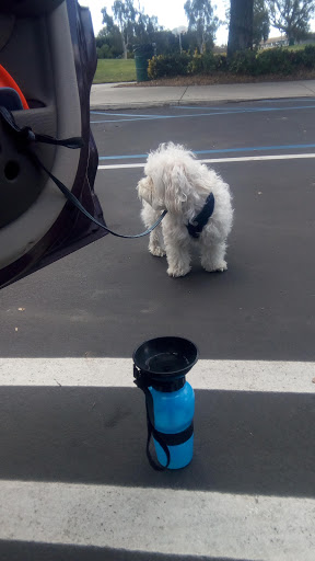 Park «Veterans Park», reviews and photos, 4554 Avenida Granada, Cypress, CA 90630, USA