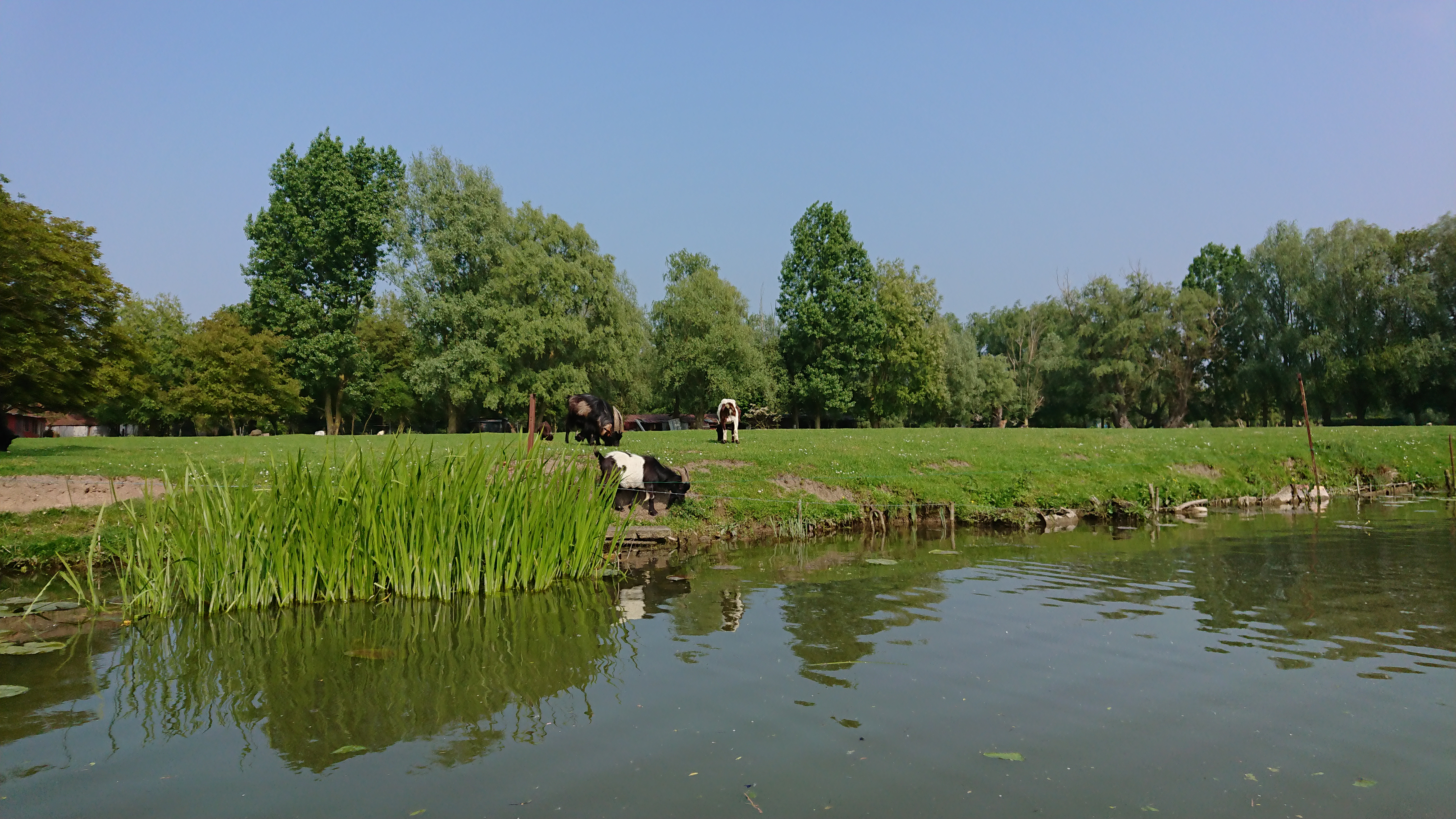 Photo n° 43 de l'avis de Perso.e fait le 20/05/2018 à 16:43