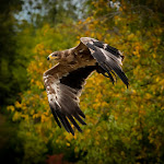 Photo n° 1 de l'avis de Michael.e fait le 31/10/2023 à 10:29 pour ZooParc de Beauval à Saint-Aignan