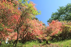 Furoyama Park image