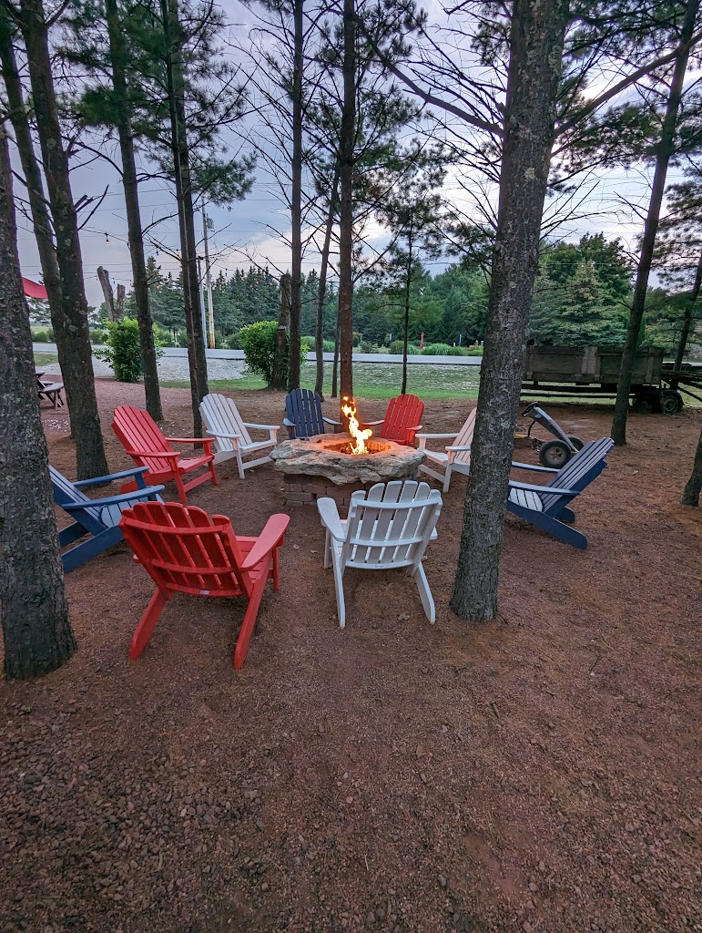 Pizza Czar - PC/DC 54202