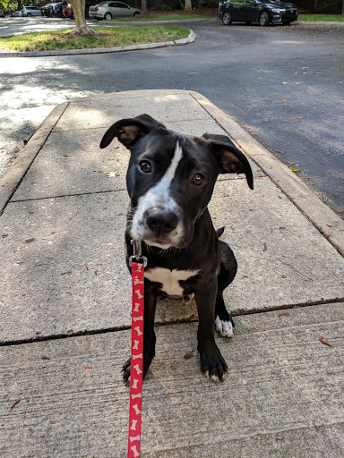 SPCA of Wake County Admission Center