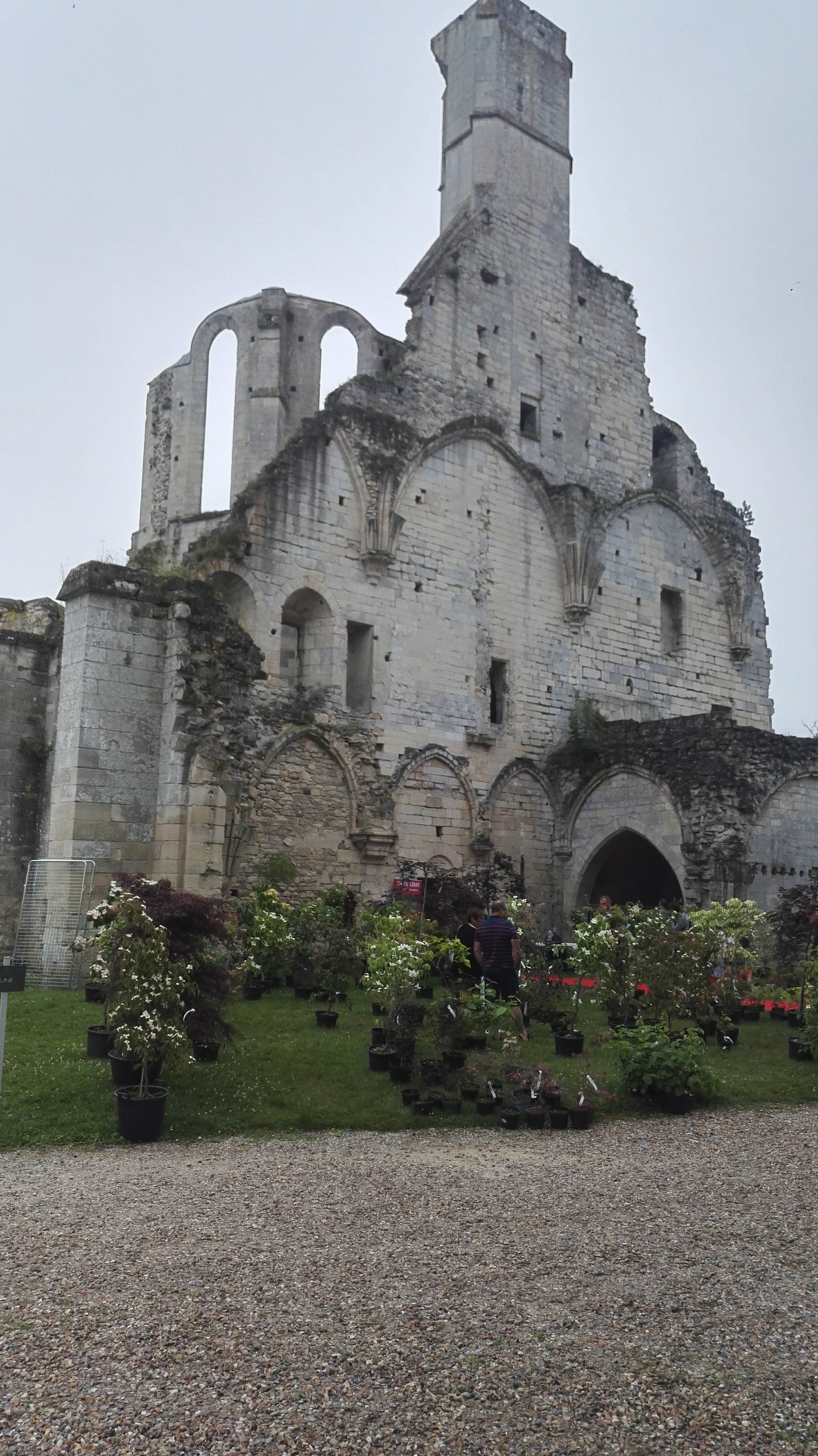 Photo n° 21 de l'avis de Alain.A fait le 11/06/2018 à 21:13