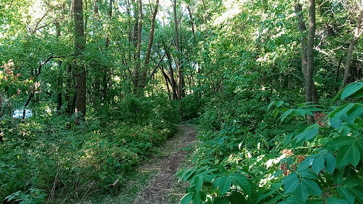 Nature Preserve «Southwood Nature Preserve», reviews and photos, 2651 Holloway Ave E, North St Paul, MN 55109, USA