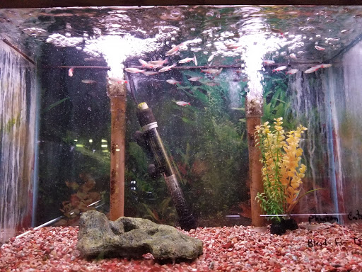 Pet Supply Store «All About Pets», reviews and photos, 9285 Cincinnati Columbus Rd, West Chester Township, OH 45069, USA