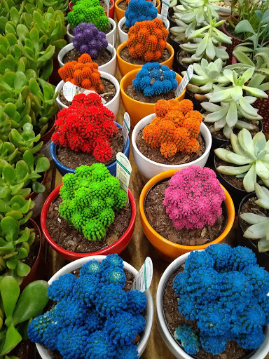 Home Improvement Store «The Home Depot», reviews and photos, 300 Clarks Pond Pkwy, South Portland, ME 04106, USA