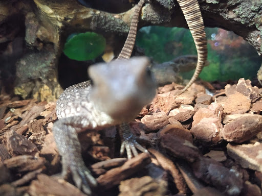 Pet Supply Store «Pet Station Jackson», reviews and photos, 1617 E Michigan Ave, Jackson, MI 49202, USA