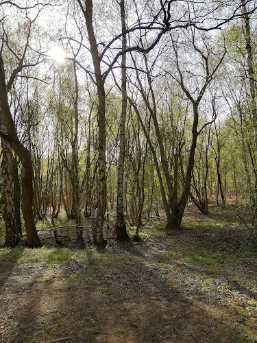 Skipwith Common Parking