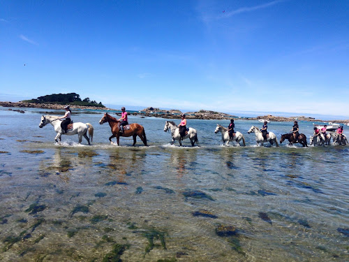 Rulan Equitation à Trégastel