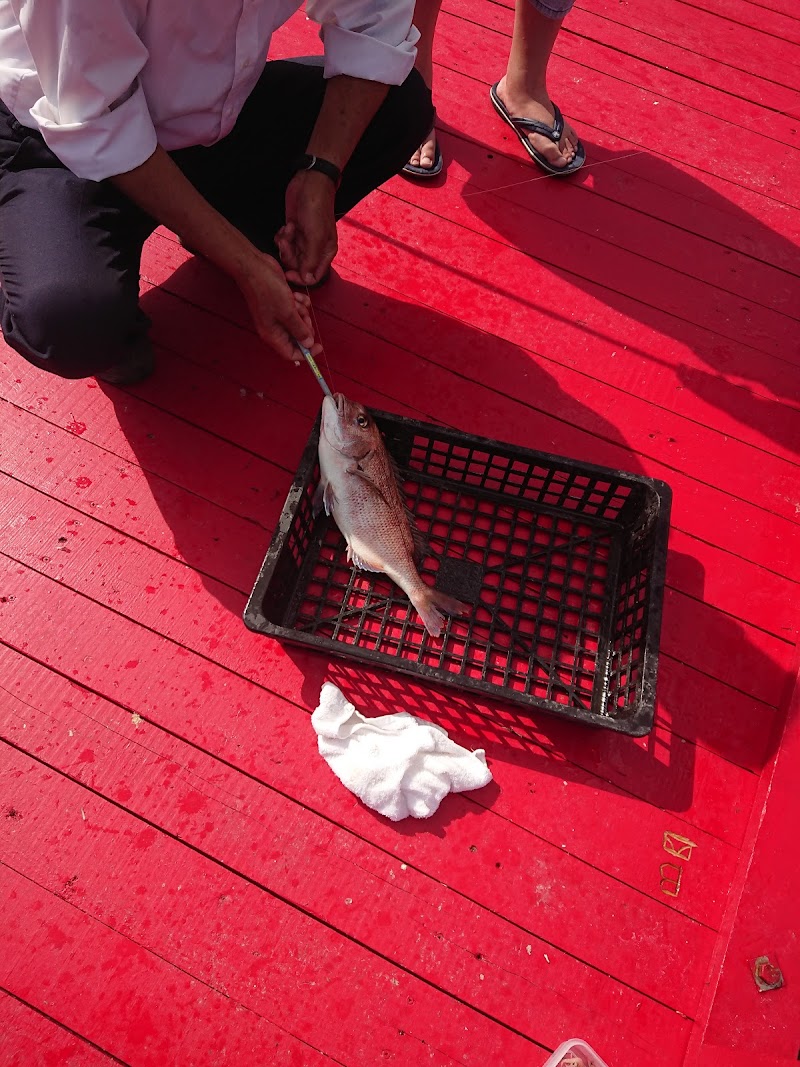 太海フラワー磯釣りセンター 千葉県鴨川市太海浜 釣り堀 グルコミ
