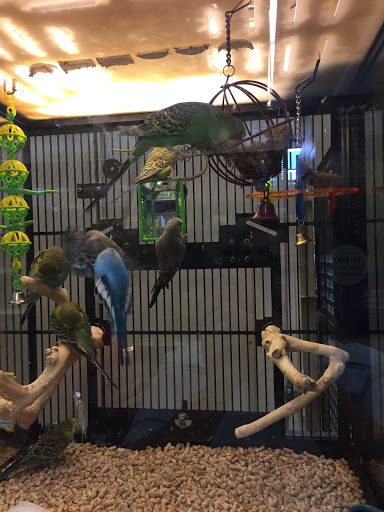 Pet Supply Store «PetSmart», reviews and photos, 4429 Pecanland Mall Dr, Monroe, LA 71203, USA