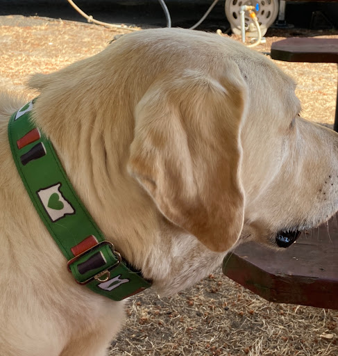 Pet Supply Store «Cycle Dog - Earth Friendly Pet Company», reviews and photos, 2215 NW Quimby St, Portland, OR 97210, USA