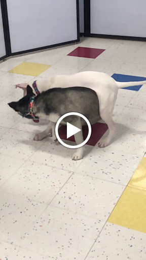 Pet Supply Store «Petco Animal Supplies», reviews and photos, 855 E Bidwell St, Folsom, CA 95630, USA