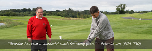Brendan McDaid Golf Lessons Spawell Golf Academy