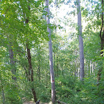 Photo n°3 de l'avis de Thomas.e fait le 18/06/2019 à 11:58 sur le  MISTRAL Suviana Camping à Lago di Suviana