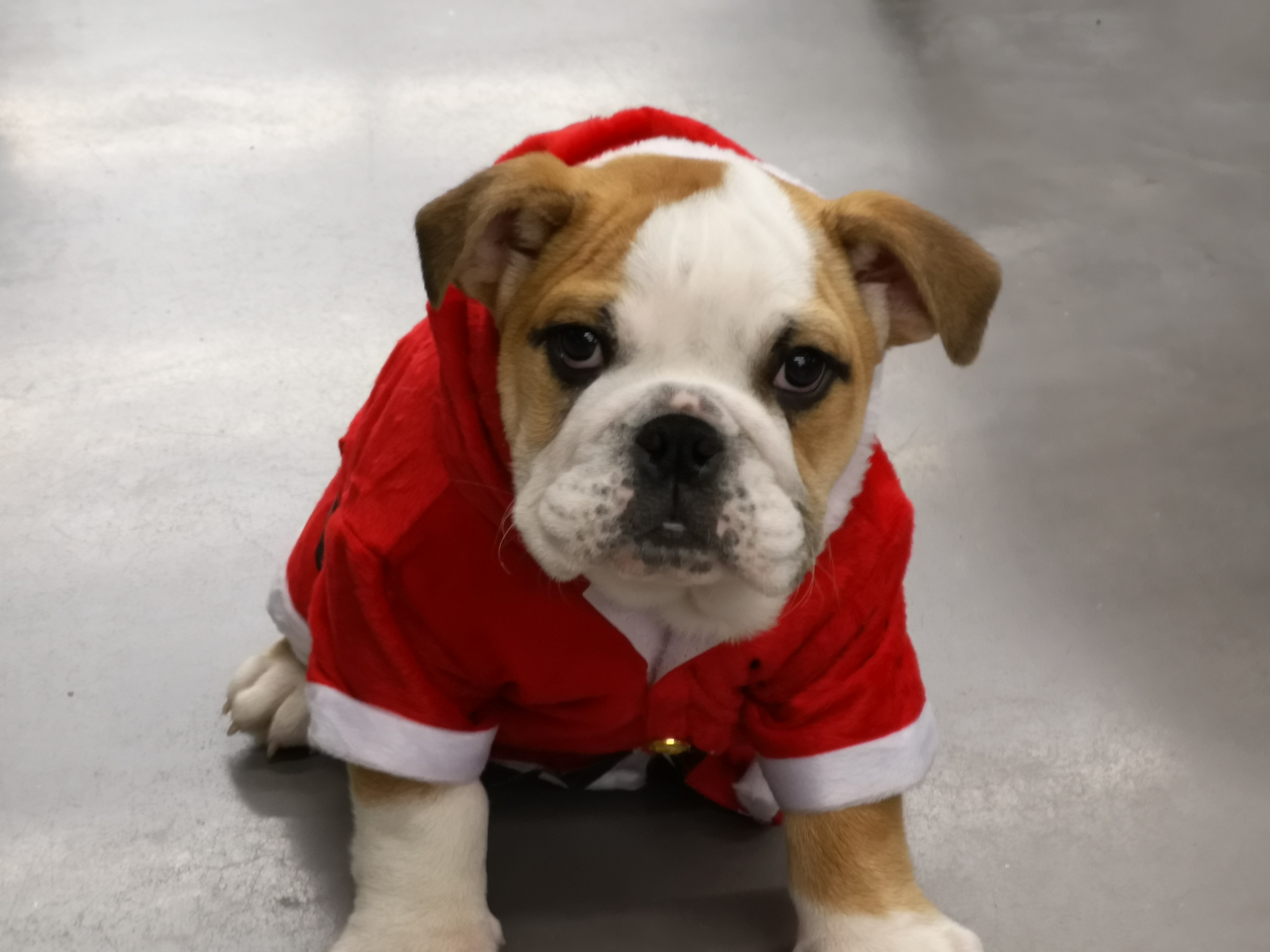 Photo n° 1 de l'avis de Coco.r fait le 18/12/2019 à 12:41