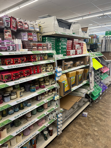 Dollar Store «Dollar Tree», reviews and photos, 8491 Grand River Ave, Brighton, MI 48116, USA