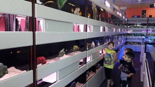 Tropical Fish Store «Trop Aquarium», reviews and photos, 3125 E Tropicana Ave D, Las Vegas, NV 89121, USA