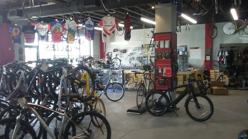Store «Adventure Cycles», reviews and photos, 7400 Spout Springs Rd #202, Flowery Branch, GA 30542, USA
