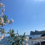 Photo n°3 de l'avis de Veronica. fait le 06/07/2023 à 07:24 sur le  Belmare Residence Restaurant & Beach Club à Nerano