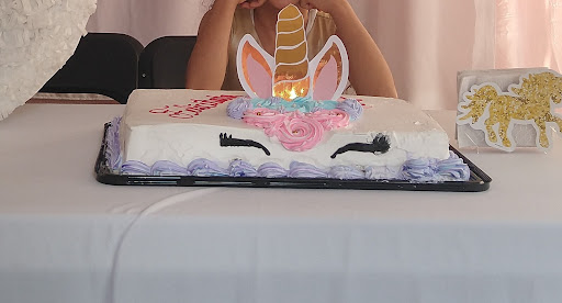 Pastelería Thalia en Paso del Macho