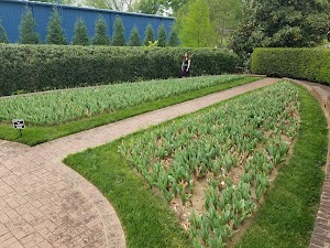 Memorial Garden - photo 33