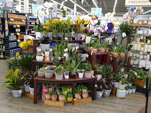 Grocery Store «ACME Markets», reviews and photos, 236 E Glenwood Ave, Smyrna, DE 19977, USA