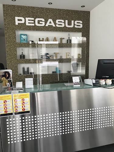 PEGASUS Hairdesign - Einsiedeln