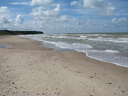 Foto von 57 parallels beach befindet sich in natürlicher umgebung
