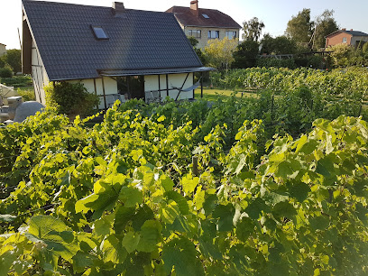 Vīnogu audzētava