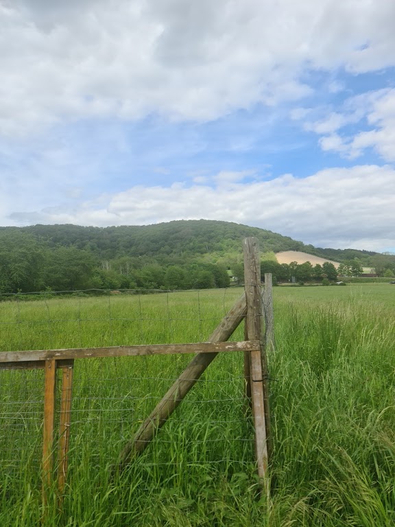 Katzenpension Schumacher