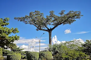 la Lupuna Park image