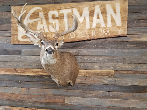 Eastmans Taxidermy