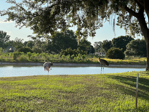 Golf Course «Cypresswood Golf and Country Club», reviews and photos, 1099 Clubhouse Rd, Winter Haven, FL 33884, USA