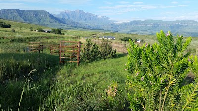 Photos of Dragon's Mist Self Catering Guest House