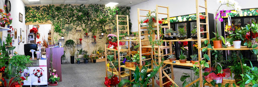 Florist «Joy Flower Shop», reviews and photos, 7630 Fair Oaks Blvd, Carmichael, CA 95608, USA