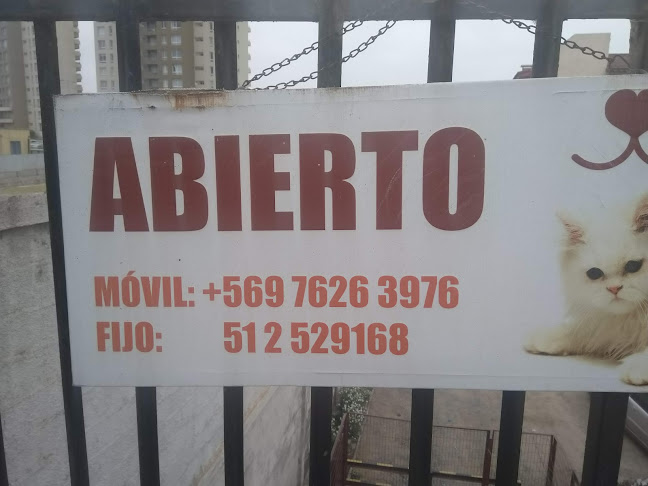 Horarios de Huella Animal