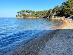 Photo de Ferrato beach avec plusieurs baies spacieuses
