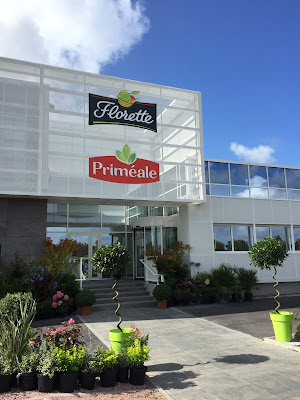 Florette à Lessay