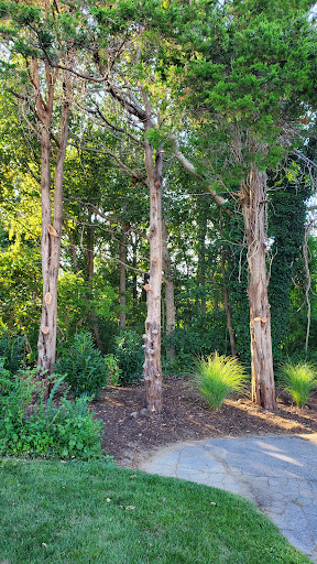 Wedding Venue «The Dennis Inn», reviews and photos, 25 Scarsdale Rd, Dennis, MA 02638, USA