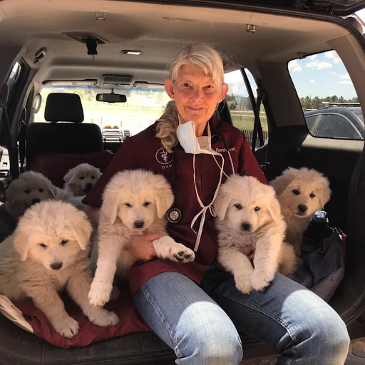 Sunrise Veterinary Services image