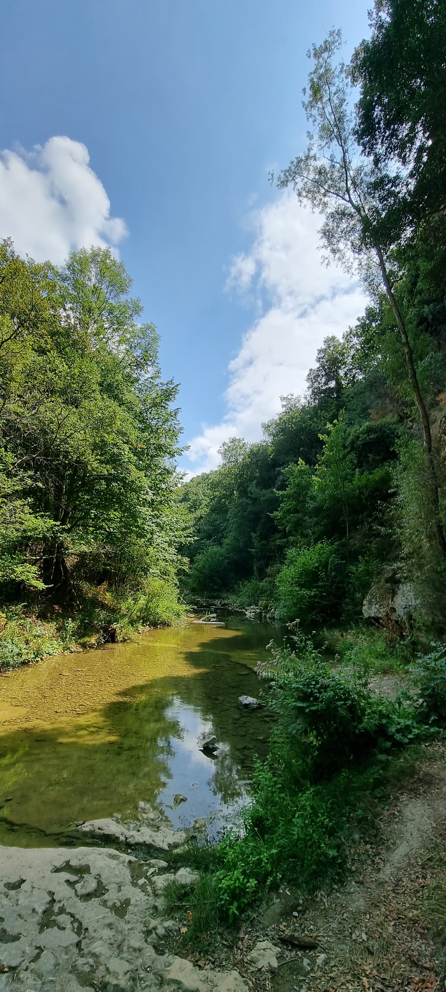 Photo n° 4 de l'avis de Loïc.a fait le 14/08/2022 à 19:59