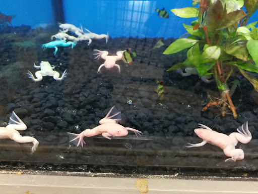 Pet Supply Store «Pet Supplies Plus», reviews and photos, 101 Sutton Ave, Oxford, MA 01540, USA