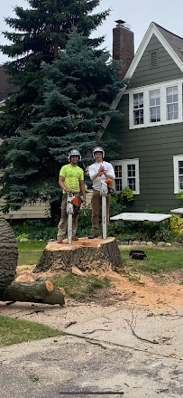 Aquilino Landscaping & Tree Service - Photo 5 - Car repair in , South Lyon