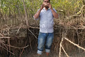 Odisha Mangrove Forest image