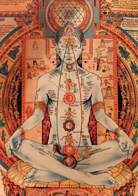 AUMAKUA KINESIOLOGIE à Missiriac