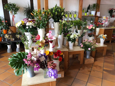 Fleurs Anastasia à Haguenau