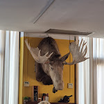 Photo n°1 de l'avis de Dave.o fait le 10/09/2022 à 08:53 sur le  Ristorante La Cavallina à Barberino di Mugello