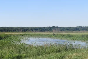 John Bunker Sands Wetland Center image