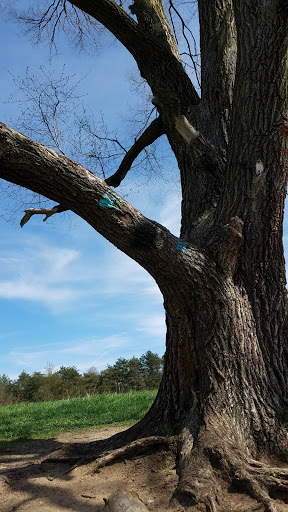 Nature Preserve «Al Sabo Land Preserve», reviews and photos, 6310 Texas Dr, Kalamazoo, MI 49009, USA